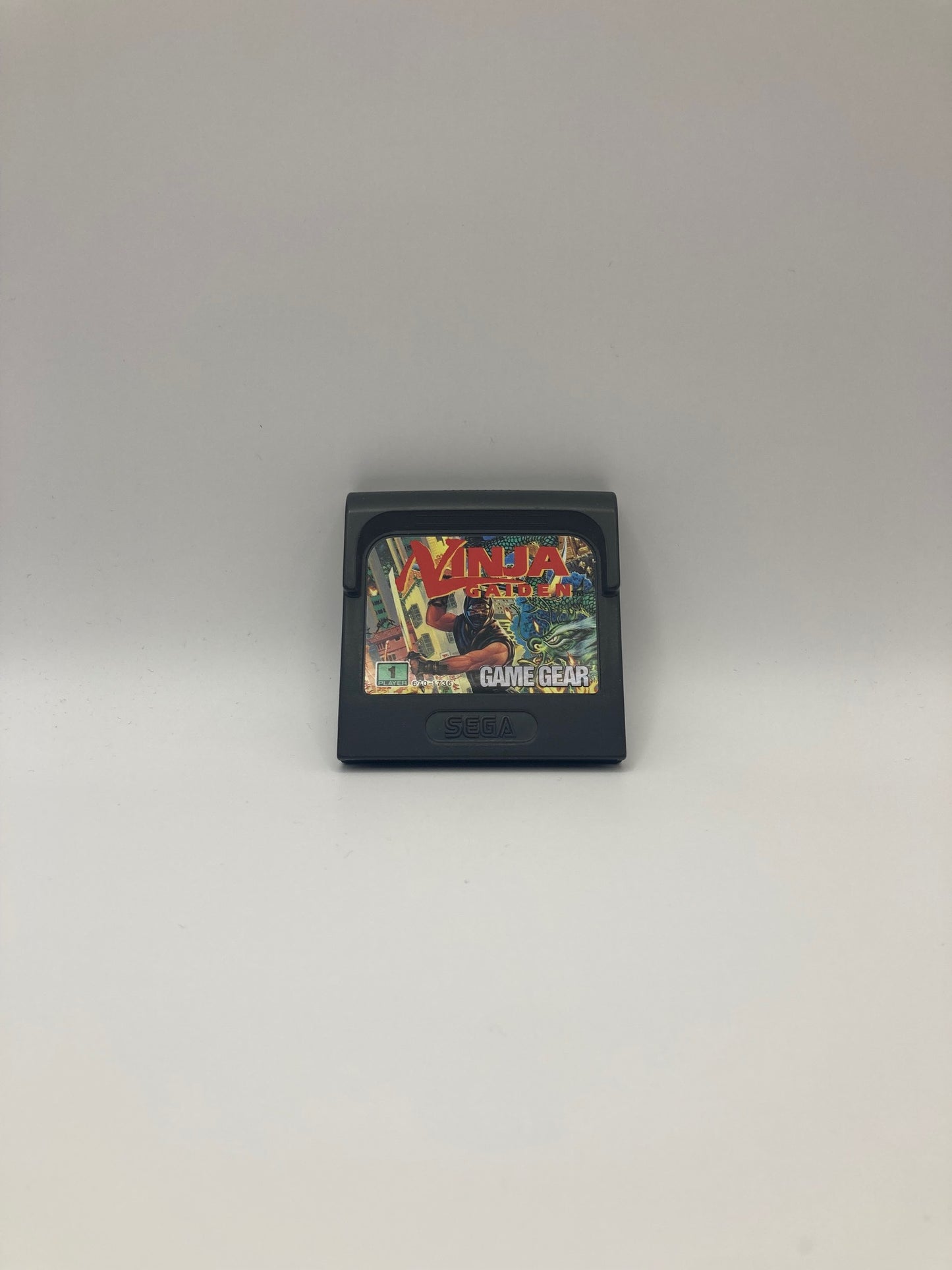 Ninja Gaiden